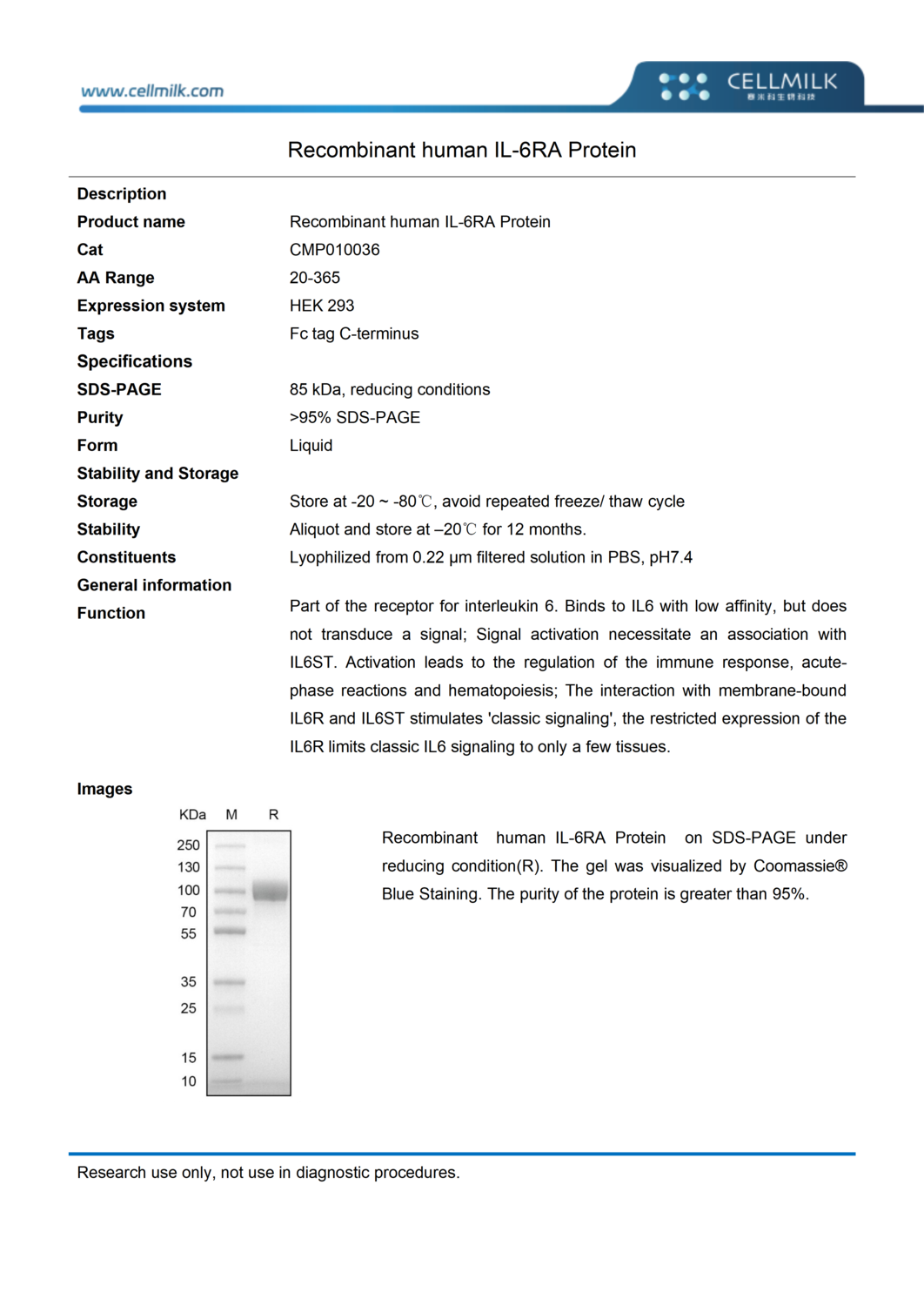6ra Recombinant human IL-6RA Protein - 赛米科(杭州)生物科技有限公司